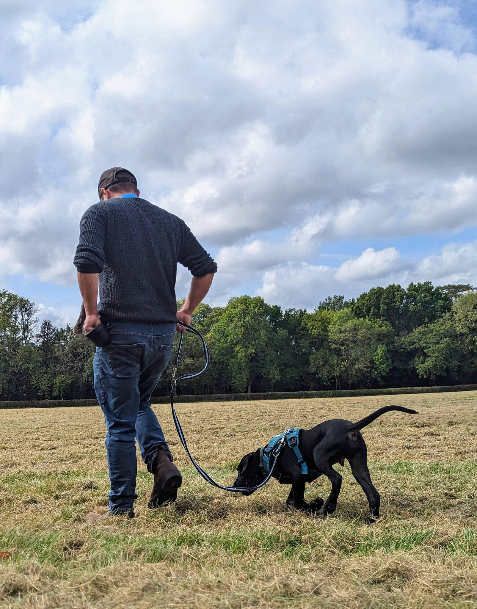 Best Lead Walking Best Pup Academy