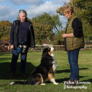 Corinne Wrend - Handler Place