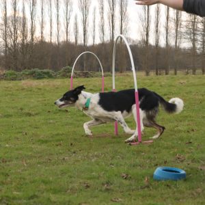 Hoopers Beginners