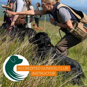 Fun Gun Dog Training