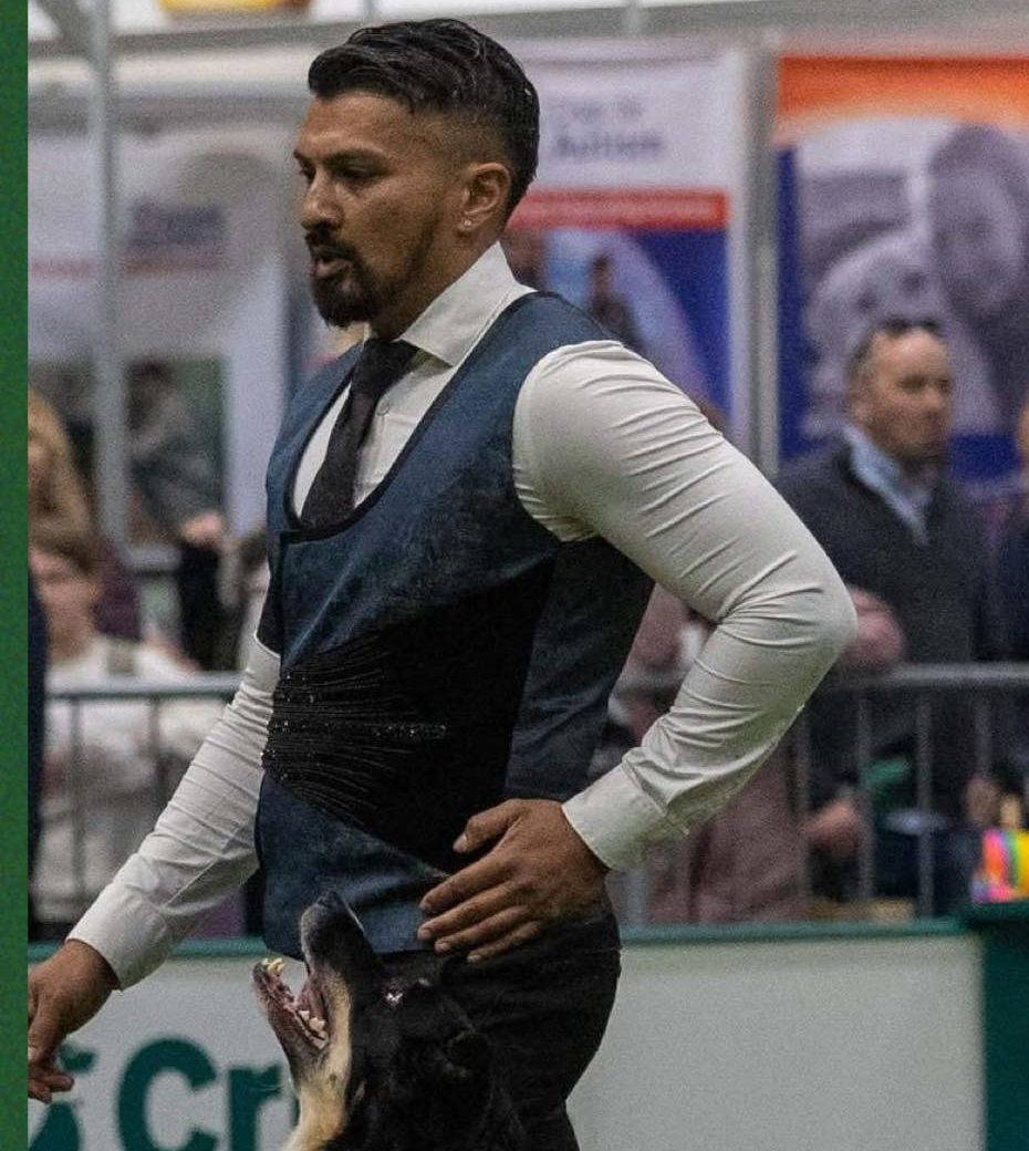 Relabelling Reactivity - Spectator